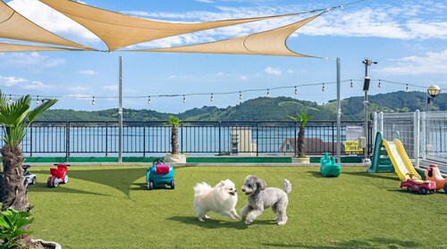 Namhae Spring, Summer, Fall, Winter Pet-