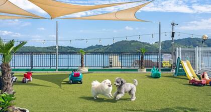 Namhae Spring, Summer, Fall, Winter Pet-