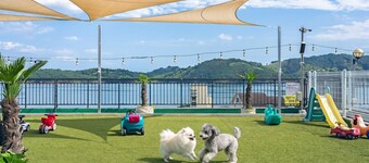 Namhae Spring, Summer, Fall, Winter Pet-