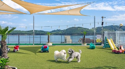 Namhae Spring, Summer, Fall, Winter Pet-