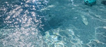 Cozy Canyon Lower Unit – Minutes to Snowbird, Alta & Mountain Trails