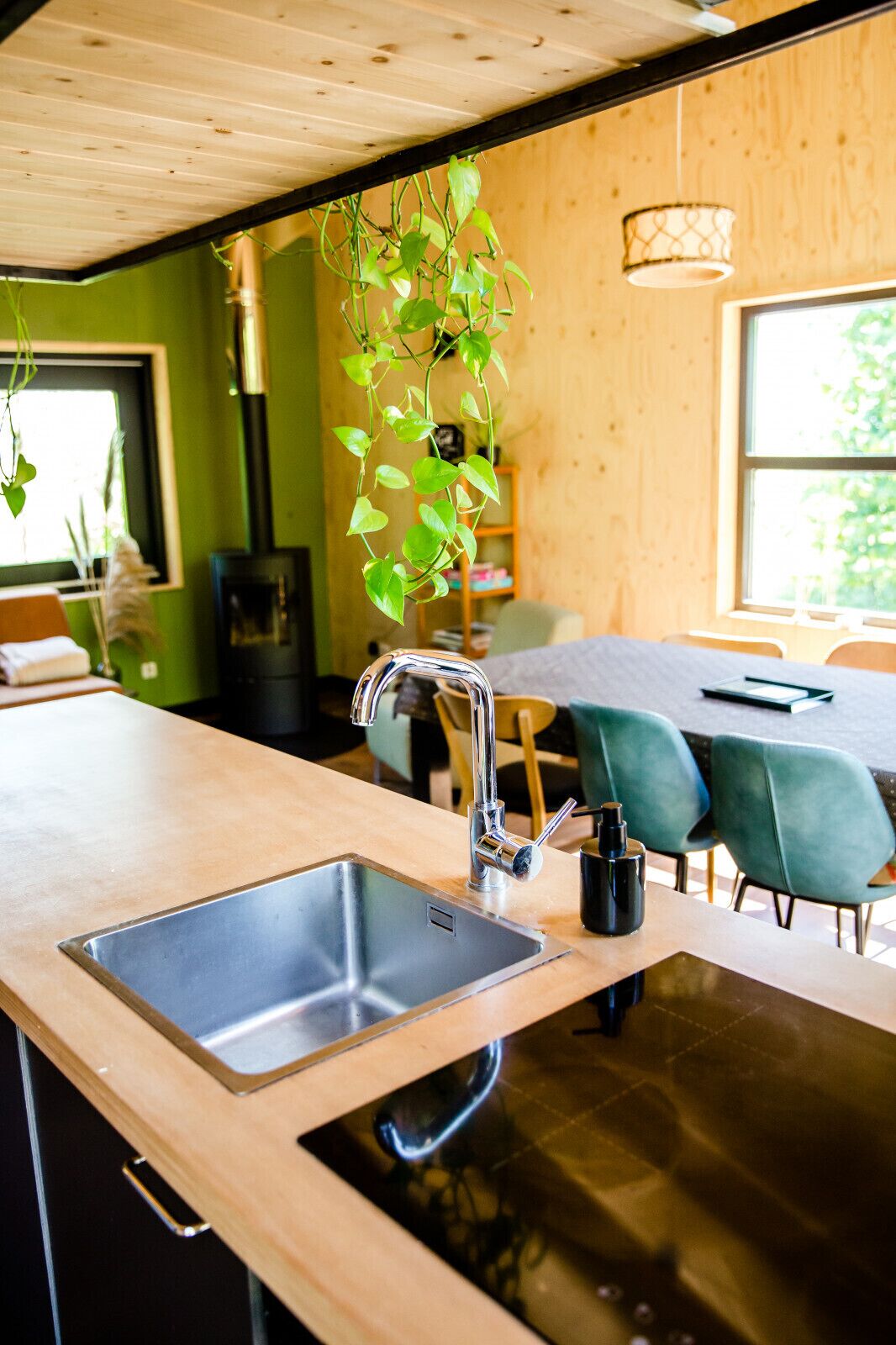A modern kitchen with a stainless steel sink, wooden countertop, and a hanging plant.