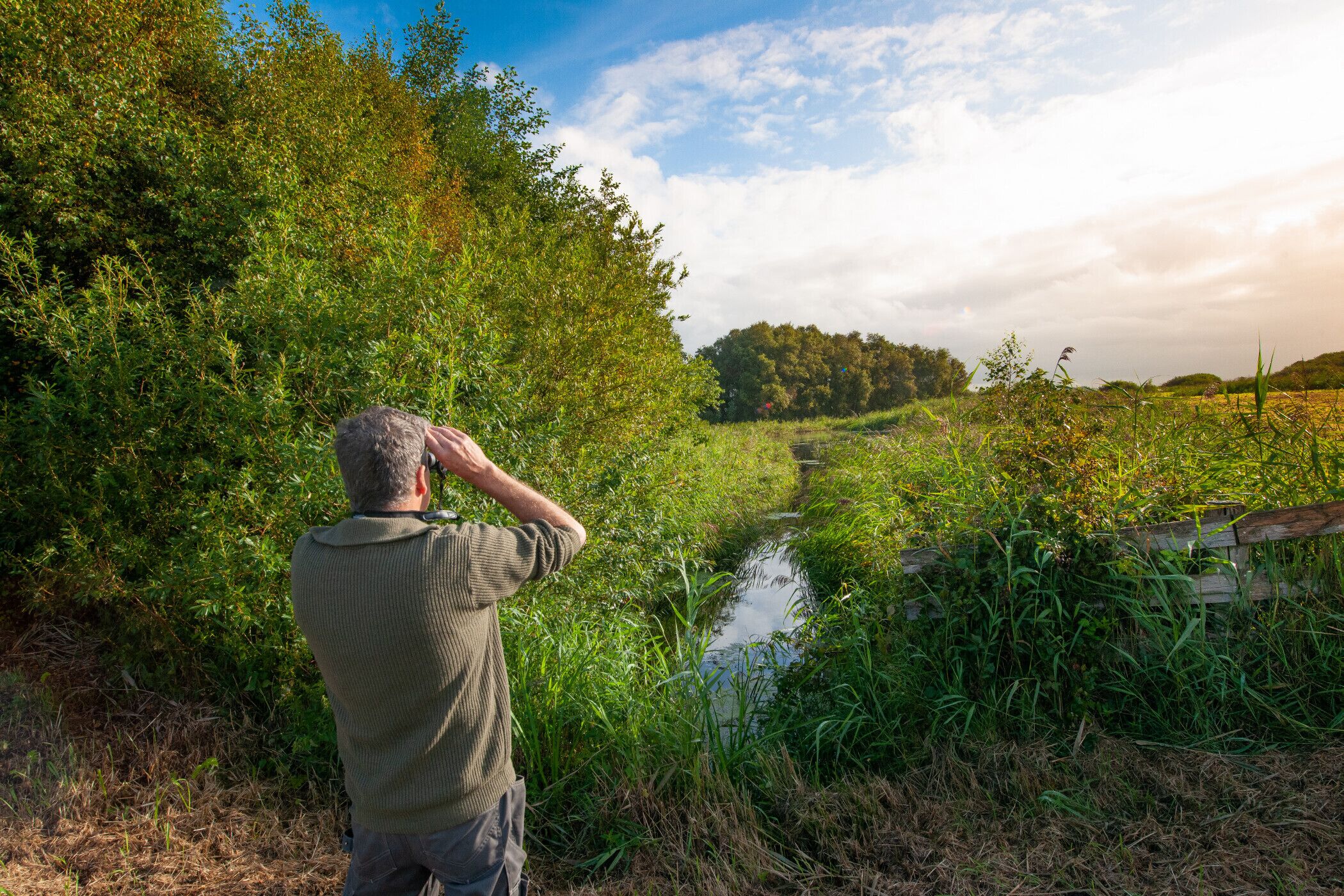 En man fotograferar ett naturligt landskap med en flod, tät vegetation och ett trästaket.
