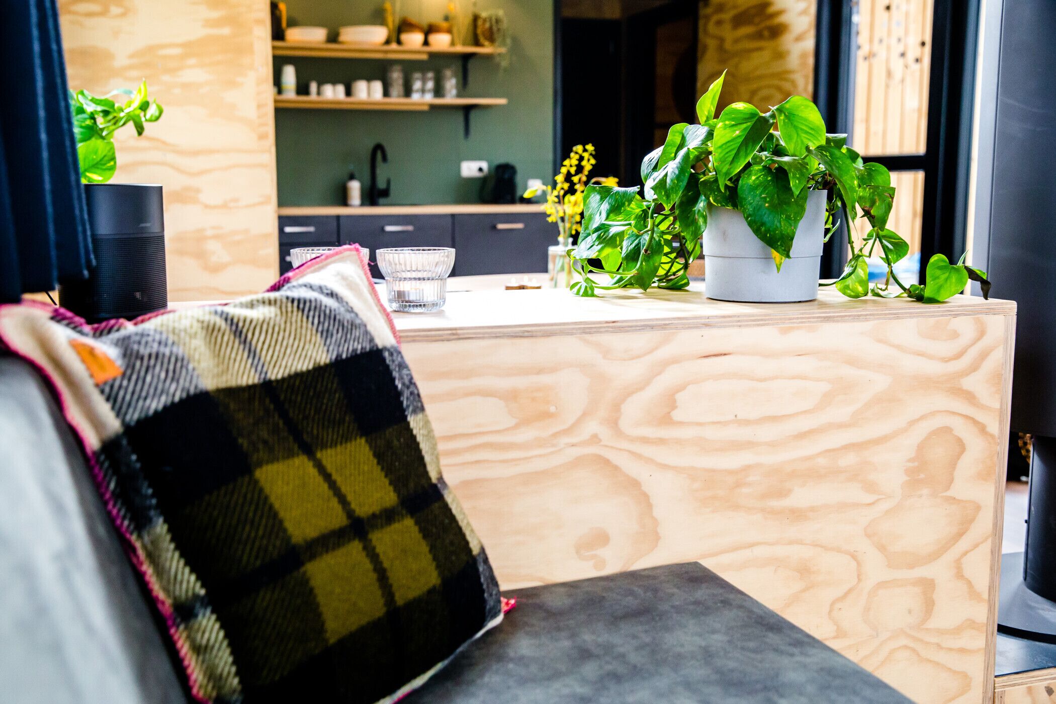 A cozy living area with a sofa, a coffee table, and a kitchen counter with plants and a coffee machine.