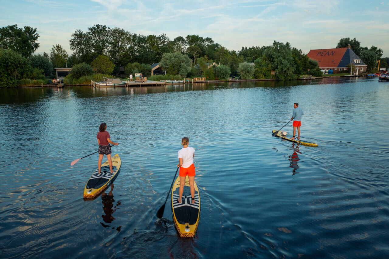Trois planches de paddle sur une étendue d’eau calme, avec un quai et de la végétation en arrière-plan.