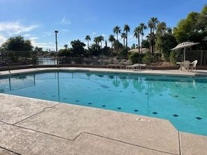 A swimming pool with clear blue water, surrounded by palm trees and a fenced area. - Lakefront Home | Community Pool & Hot Tub (Chandler)