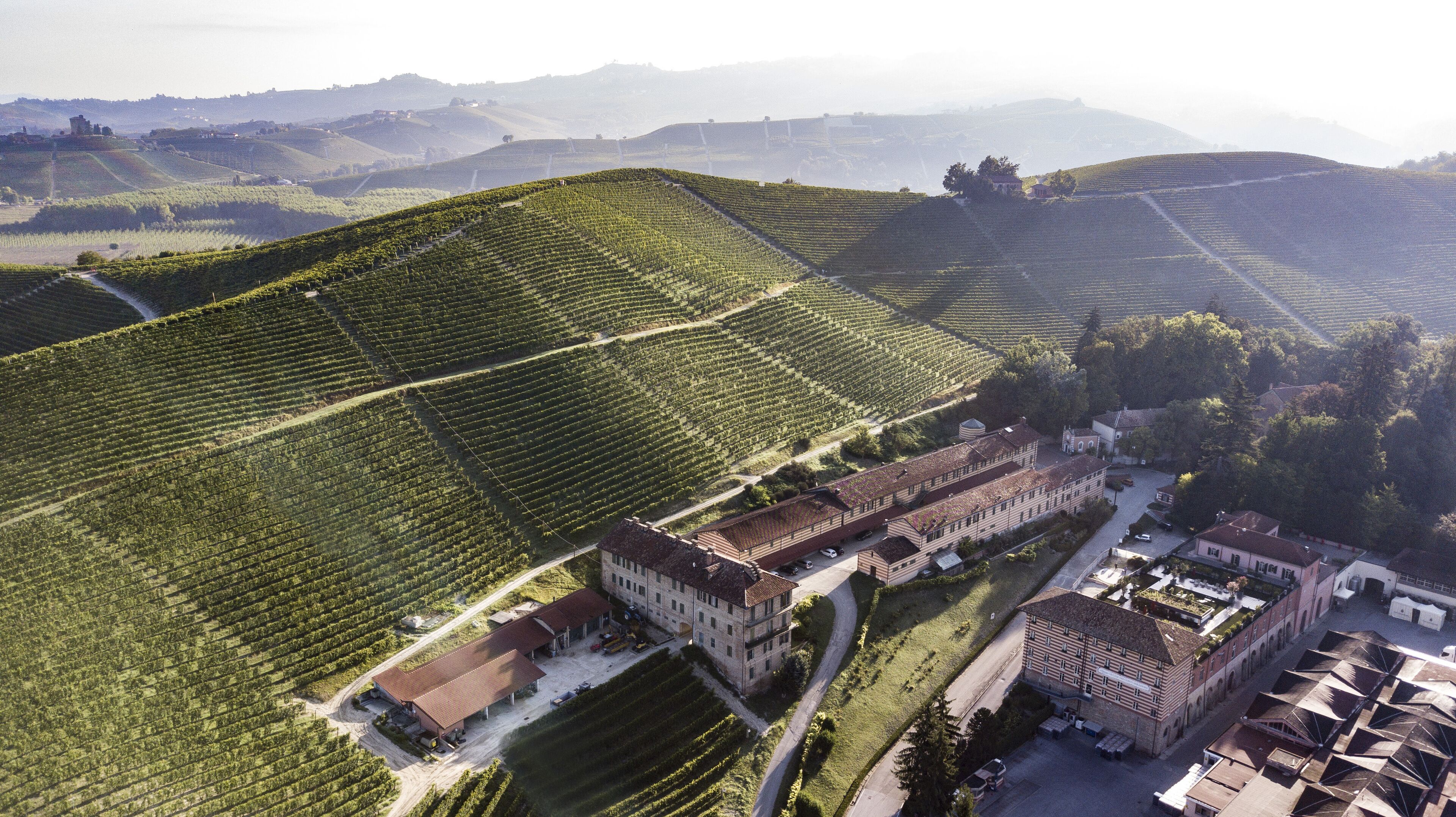 An aerial view of a vineyard with terraced fields and a large building complex.