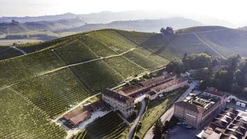 An aerial view of a vineyard with terraced fields and a large building complex.