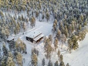 En stuga omgiven av en tät skog, med en tydlig stig som leder fram till ingången.