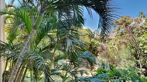 Um jardim exuberante com palmeiras e diversas plantas.