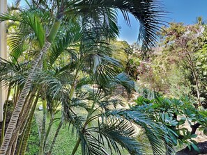 A lush garden with palm trees and various plants.