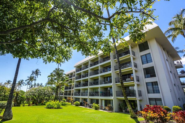 A multi-story hotel with balconies, surrounded by lush greenery and palm trees.