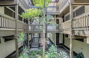 Property grounds - Kona Mansions 5-minute Walk to Honls Beach (Kailua-Kona)