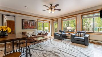 Fladskærms-tv, dvd-afspiller