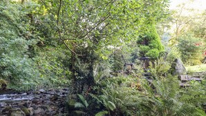 Eine natürliche Umgebung mit Bach, Felsen und Farnen.