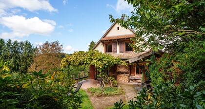 Holiday Home "La Colline aux Oiseaux" with Terraces & Wi-Fi
