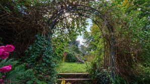 Un vialetto di giardino con una panchina in legno, circondato da piante rigogliose e un arco in metallo.