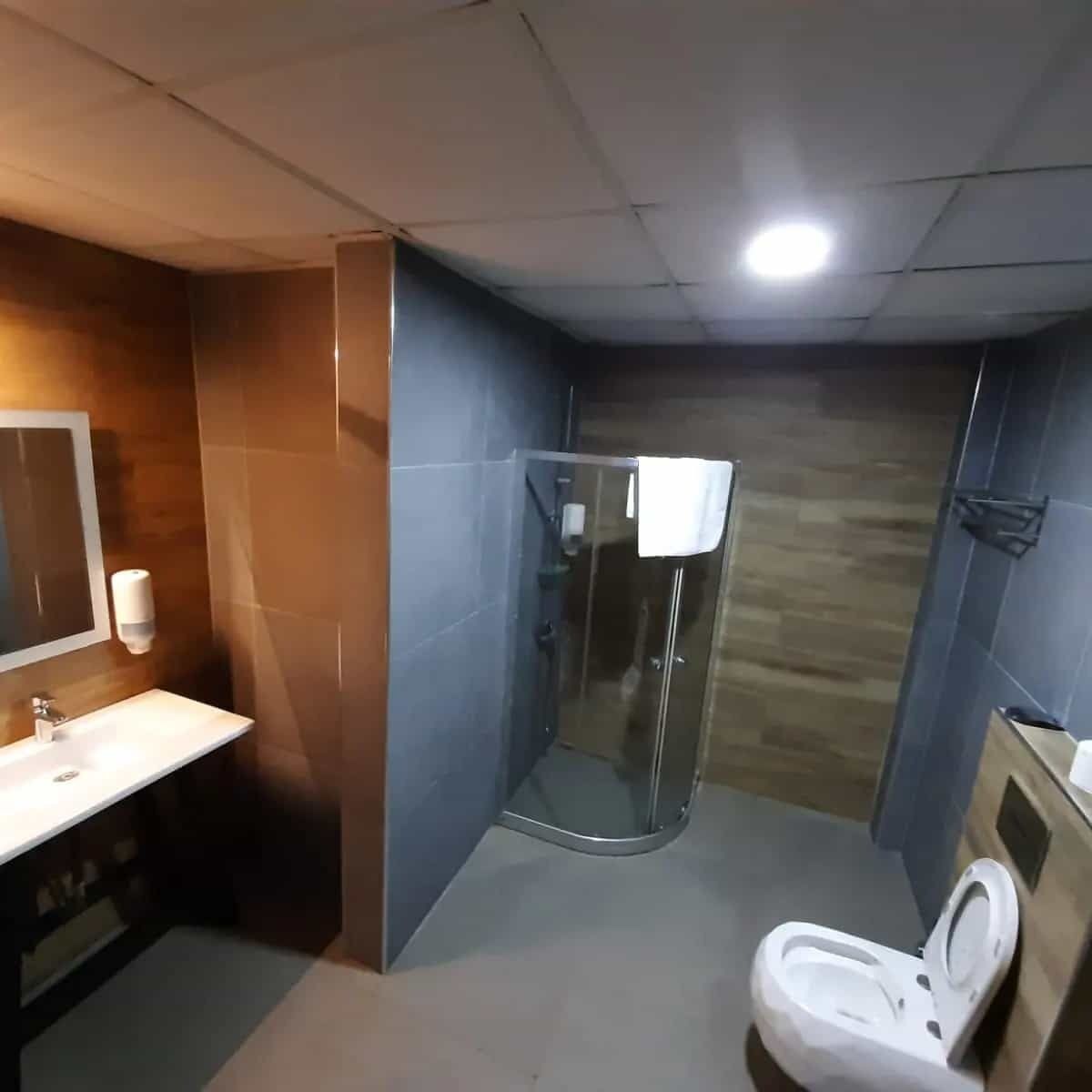 A modern bathroom with a glass shower enclosure, a white sink, and a toilet.
