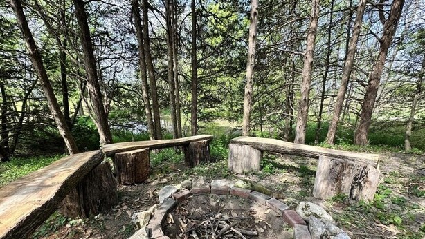A natural outdoor setting with a stone fire pit surrounded by wooden benches and a wooden bridge.