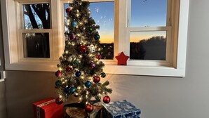 A Christmas tree with ornaments and lights in a room with a window.
