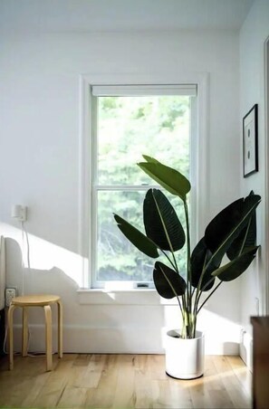 Interior - NEW! The Joyful Cabin - Modern Upstate Cabin Vibe (Woodstock)