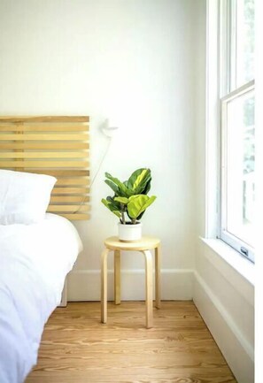 3 bedrooms, iron/ironing board, travel cot, WiFi