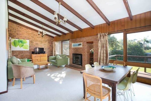 TV, fireplace, DVD player, books