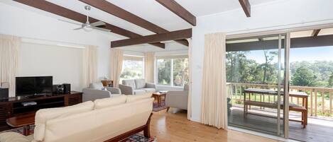 Télévision, cheminée, livres