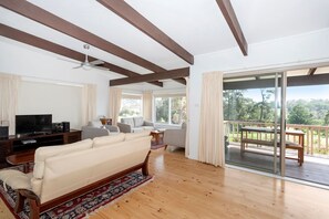 TV, fireplace, books