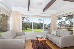 تلفزيون، مدفأة، كُتُب