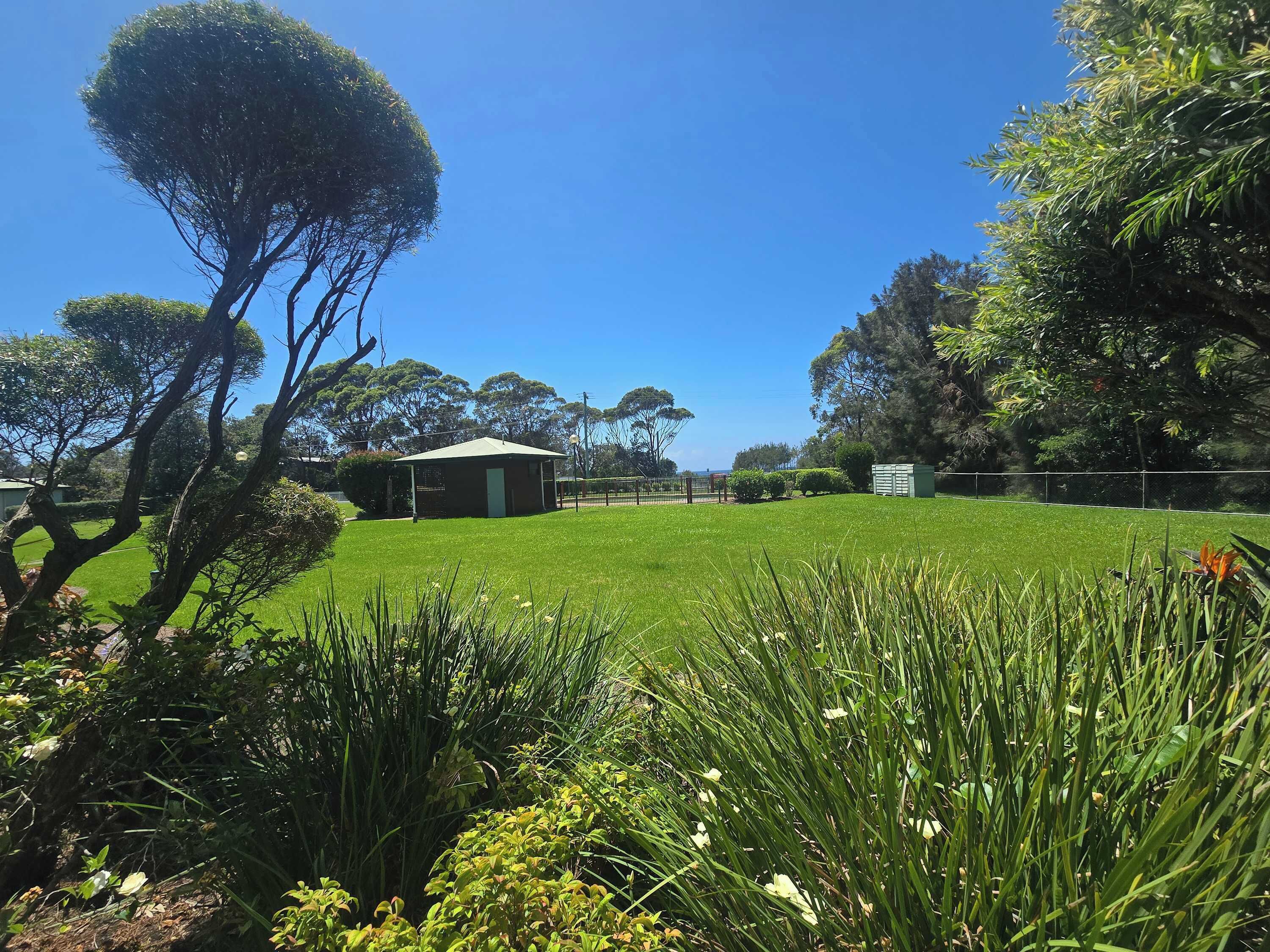 A grassy area with a small building, surrounded by trees and a fence.