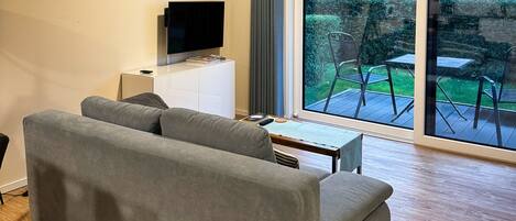 电视、壁炉、DVD 播放器