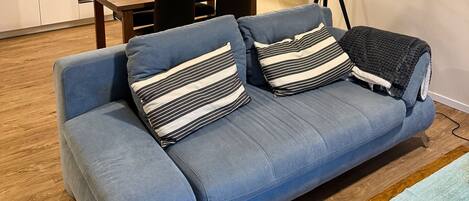 TV, fireplace, DVD player