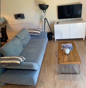TV, fireplace, DVD player