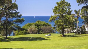 A golf course with a view of the ocean and a sailboat in the distance. - Stunning Clifftop Location (Mollymook Beach)