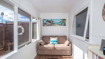 TV, DVD player, books