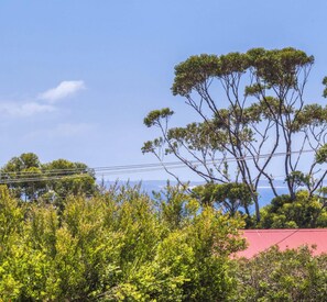 A landscape with trees, a red building, and power lines.