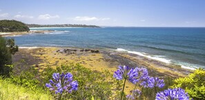 Beach nearby - Perfect Location Near Collers Beach (Mollymook)