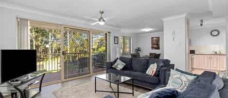 TV, fireplace, Netflix, books