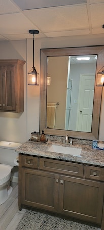 Shower, towels, soap, toilet paper. Apartment at the base of the Blue Ridge Mountains