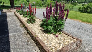 A garden with flowering plants and a gravel path. - Llwynon (Aberystwyth)