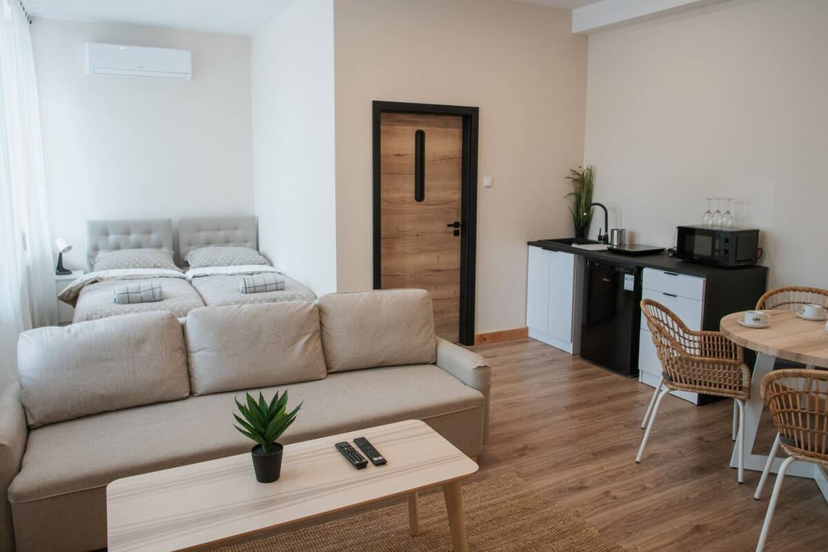 A modern, well-lit room with a sofa, a small table with a plant, and a kitchenette area with a microwave and a sink.