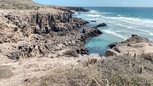 A rocky coastal landscape with cliffs and cacti. - Ocean View Oasis at Bajamar Resort (Ensenada)
