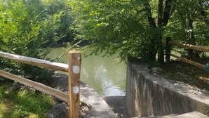 A wooden bridge with metal railings leading over a concrete barrier into a wooded area. - The River Joy - Amazing Riverfront Cabin in Franklin NC (Franklin)