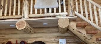 Authentic Montana wilderness log cabin (pet friendly)