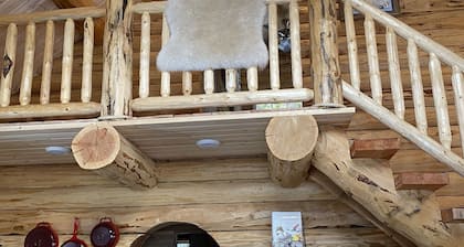 Authentic Montana wilderness log cabin (pet friendly)