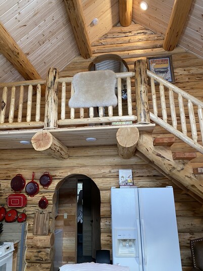 Authentic Montana wilderness log cabin (pet friendly)