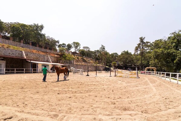 Una arena al aire libre con suelo de arena, un caballo y una persona que lo guía.