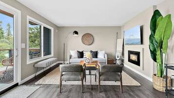 Smart TV, fireplace, books