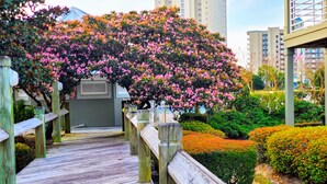 A wooden boardwalk leading to a building with a large flowering bush. - Balcony to beach in minutes! Orange Beach tranquility all year at great rates! (Orange Beach)